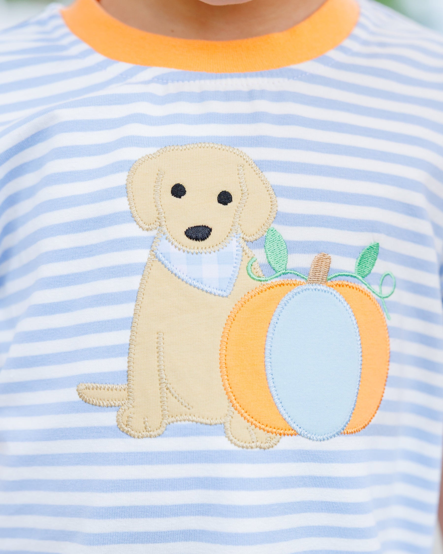 Pumpkins and Paws Short Set