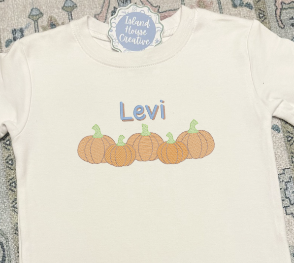 Boy's Pumpkin Patch T-Shirt