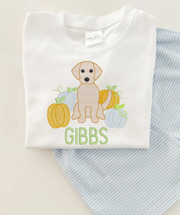 Boy's Pumpkin Patch Pup