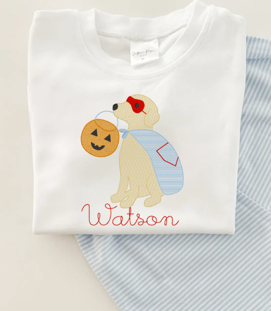 Boy's Super Pup Halloween