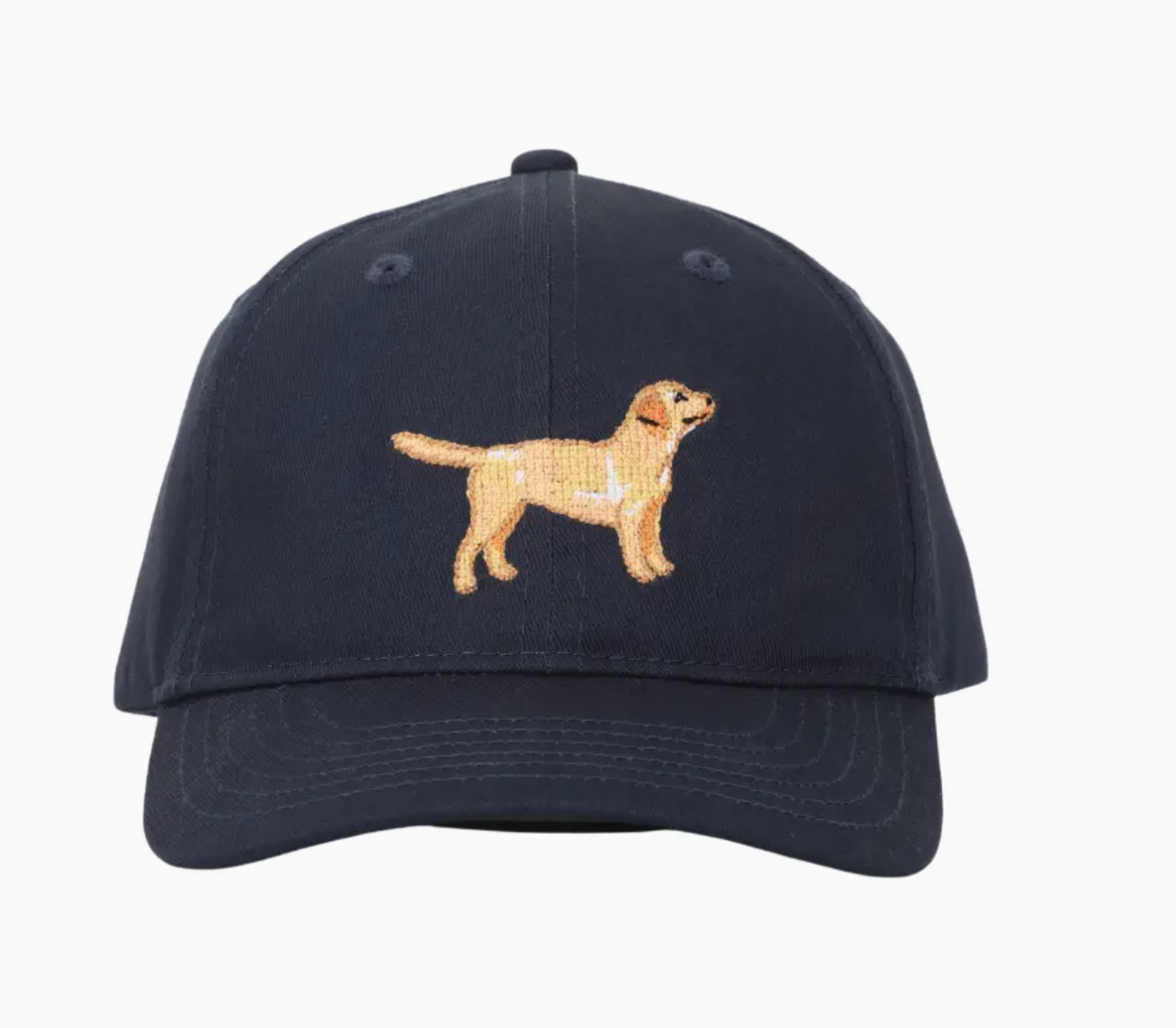 Boy's Labrador Baseball Hat